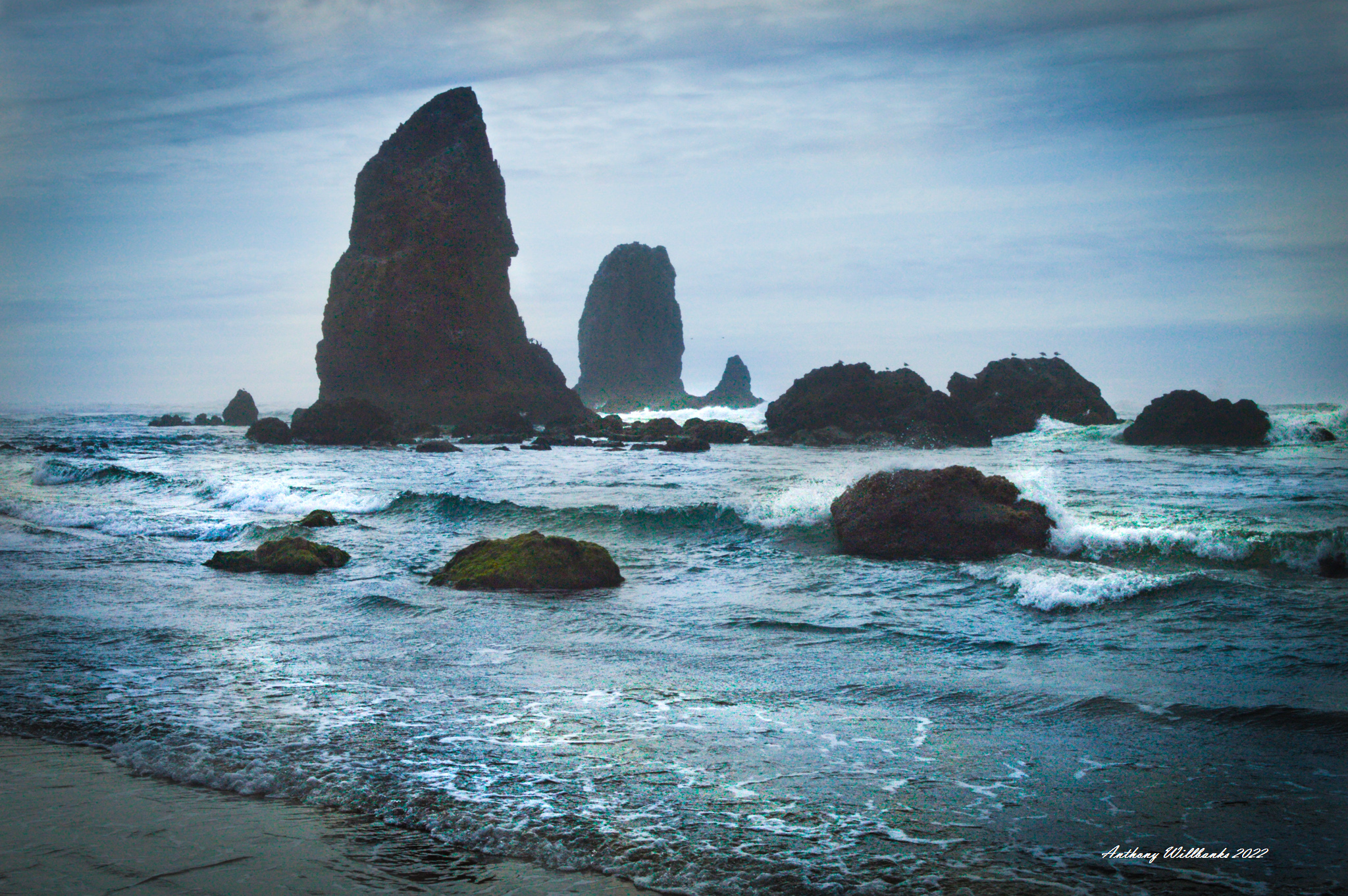 Anthony Willbanks Photography